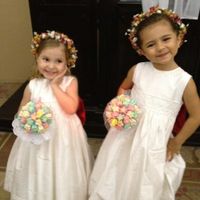 Nova tendencia para daminhas