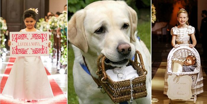 Pets no casamento - 6