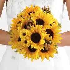 Amarelo 1