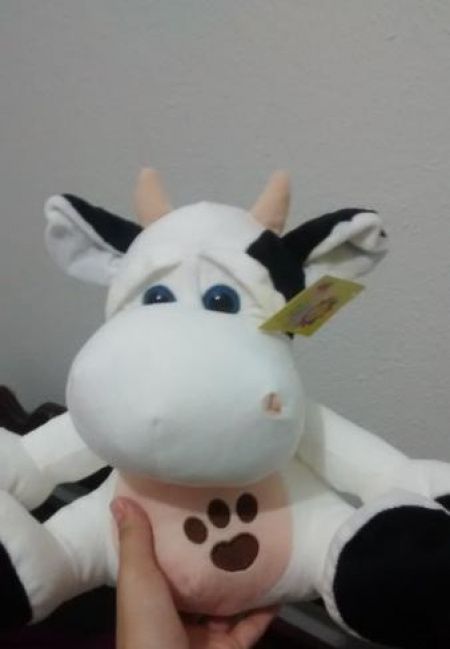 Vaquinha 