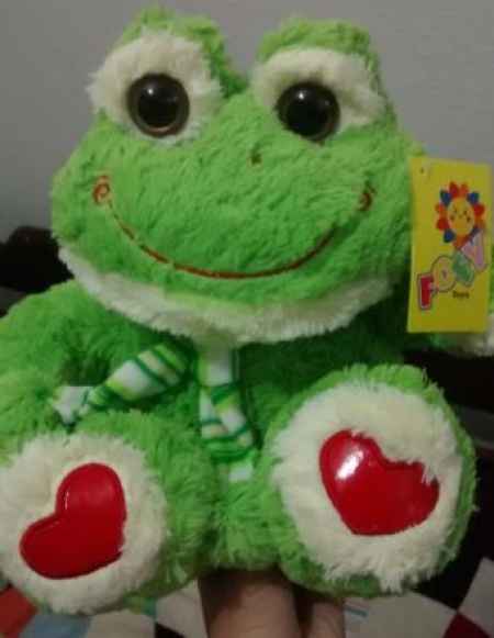 Sapinho
