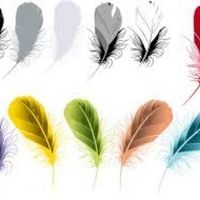 plumas