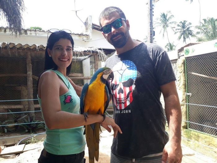 Minha lua de mel em Porto de Galinhas e Maragogi 7