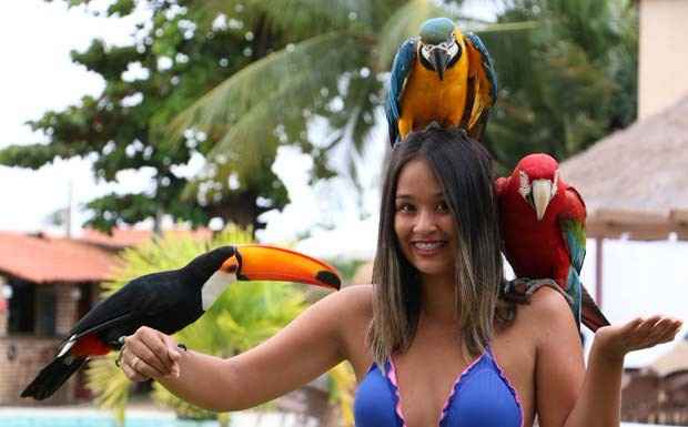 Animal2