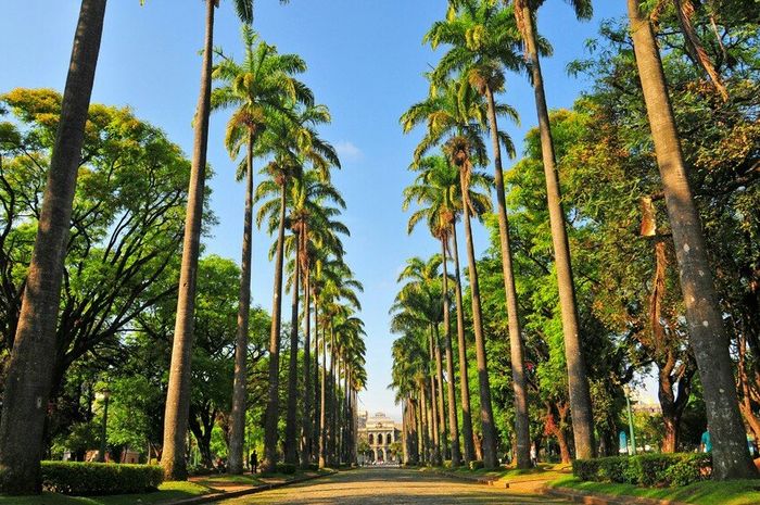 Lugares para tirar fotos em bh 😍😍 - 3