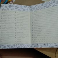 Organizador - 2