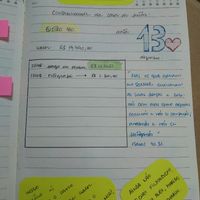 Organizador - 4