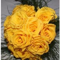Tudo amarelo