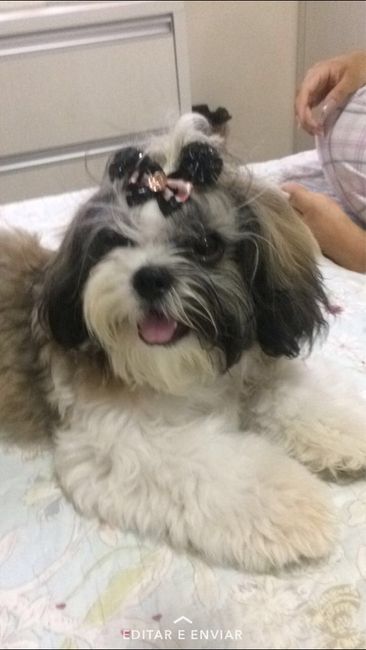 Quem levará as alianças? - 2