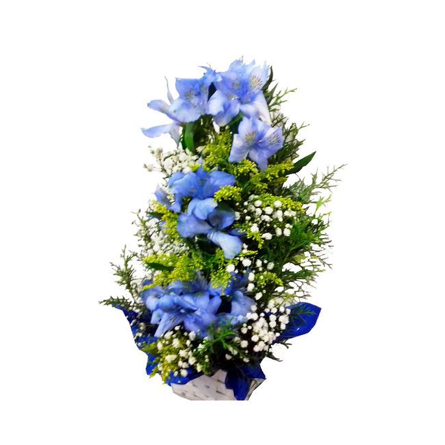 Astromelia azul