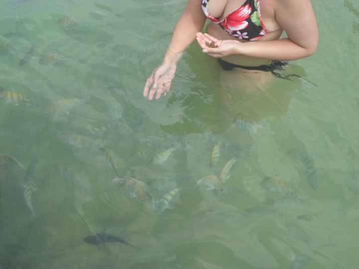 Alimentando os peixinhos na piscina natural 