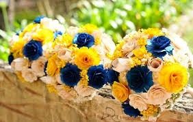 AZUL E AMARELO