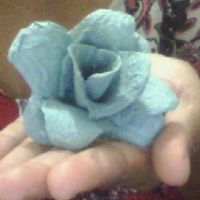 Rosas