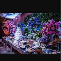 Cor da minha festa! - 1