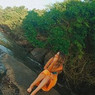 Paloma