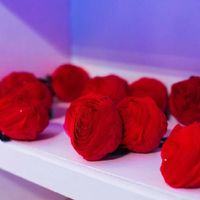 Minhas lembrancinhas - 4