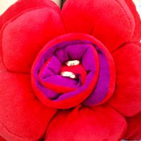 Nossa Flor