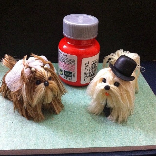 Essa noiva pediu como noivinhos o seu casal de cachorrinhos... ficou simplesmente apaixonante... até
