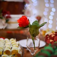 o que deu certo e o que não deu certo - 6