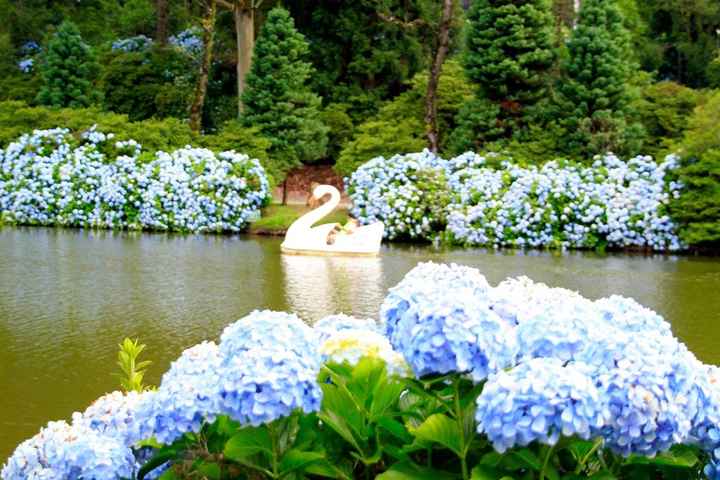 Jardim das Hortências - Gramado