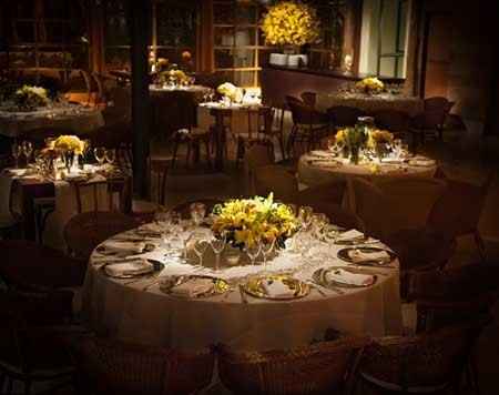 Amarelo com marrom