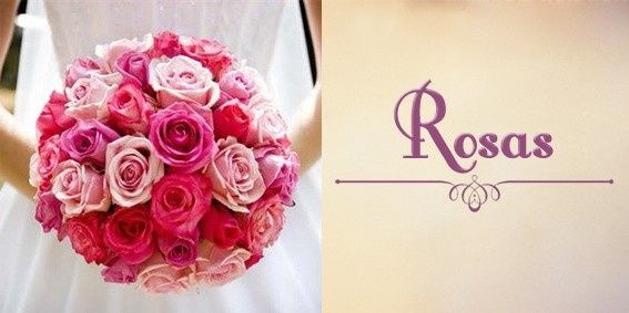 Rosas