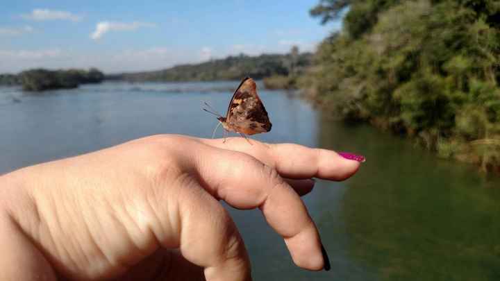 férias de Mel