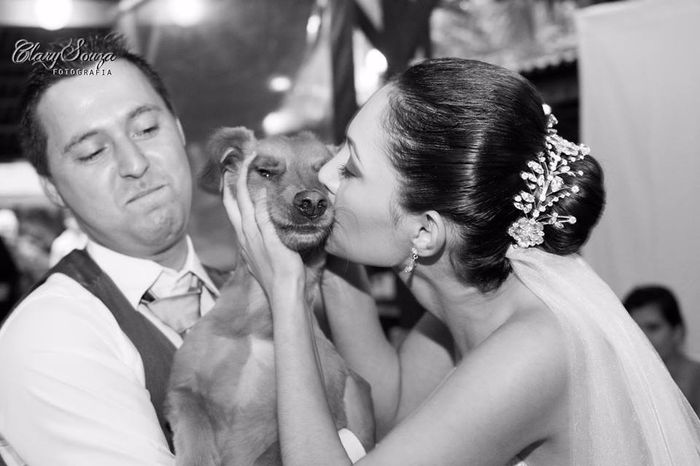 O cachorro entra ou não?! - 2
