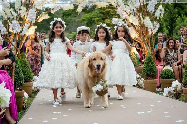 Faço o que com o dog? - 1