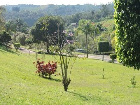 Noivas de suzano-sp - 2