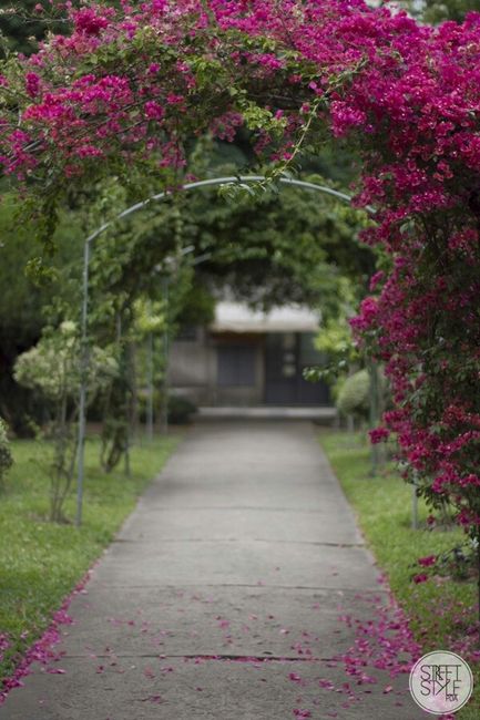 Meu lugar para o pré wedding #vemver - 7