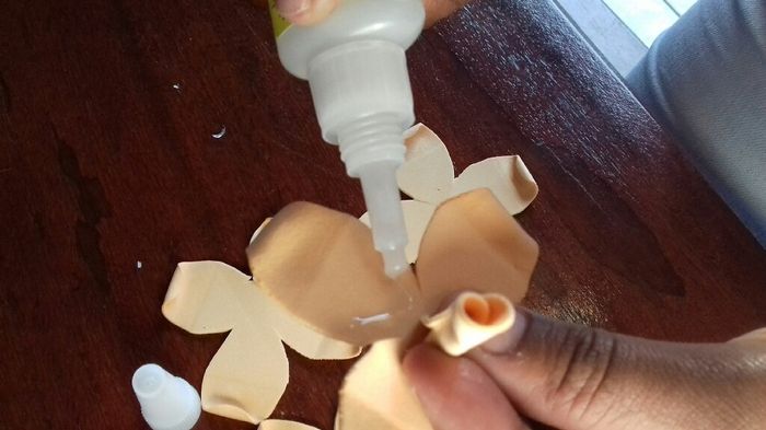 Como prometido rosas diy eva - 9