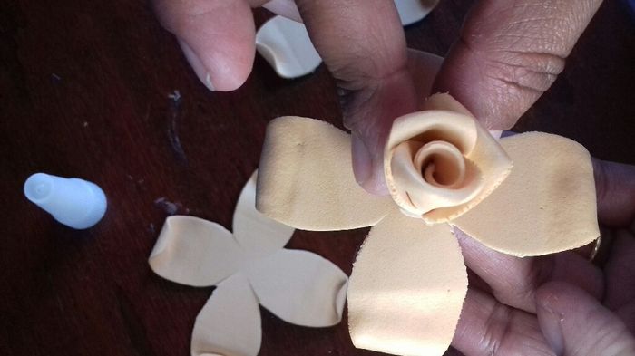 Como prometido rosas diy eva - 12