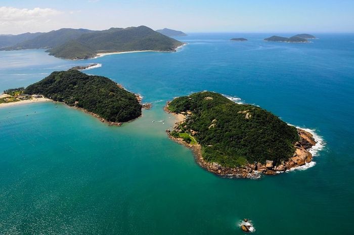 Ilha do papagaio