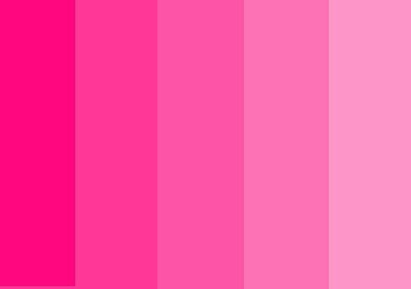 Paleta de cores - 1