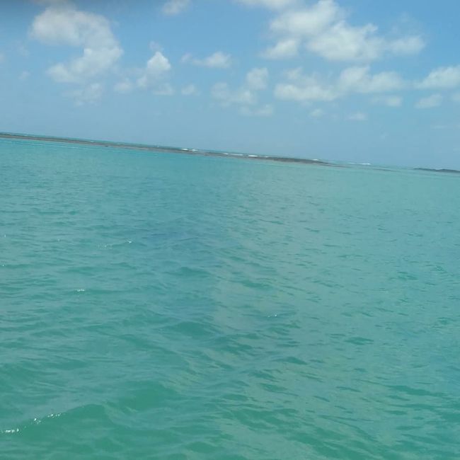 Minha lua de mel em em Alagoas (japaratinga e Maceió) 10