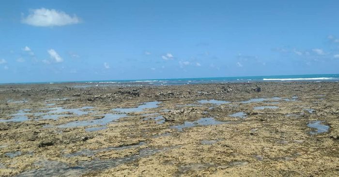 Minha lua de mel em em Alagoas (japaratinga e Maceió) 11