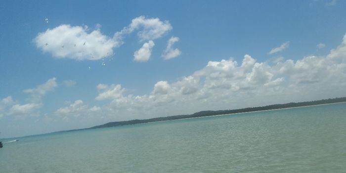 Minha lua de mel em em Alagoas (japaratinga e Maceió) 12