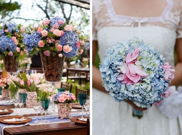 ROSA + AZUL NIAGARA