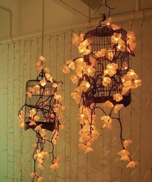 Gaiolinhas suspensas com luzes