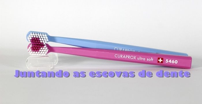 Olha que amor essas escovas!