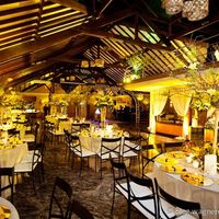CORES PARA CASAMENTO: AMARELO