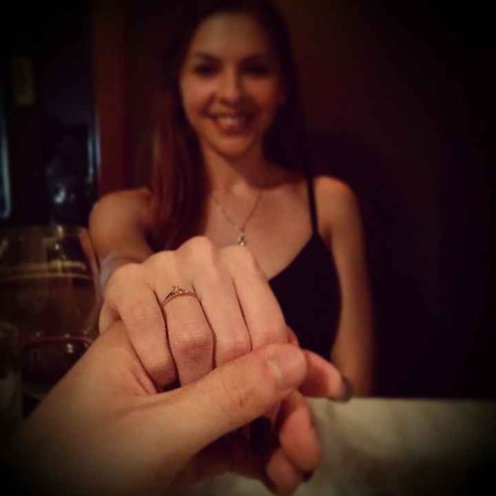Pedido de Casamento 💒 - 1