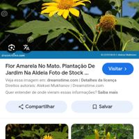 Flores/decoração - 1