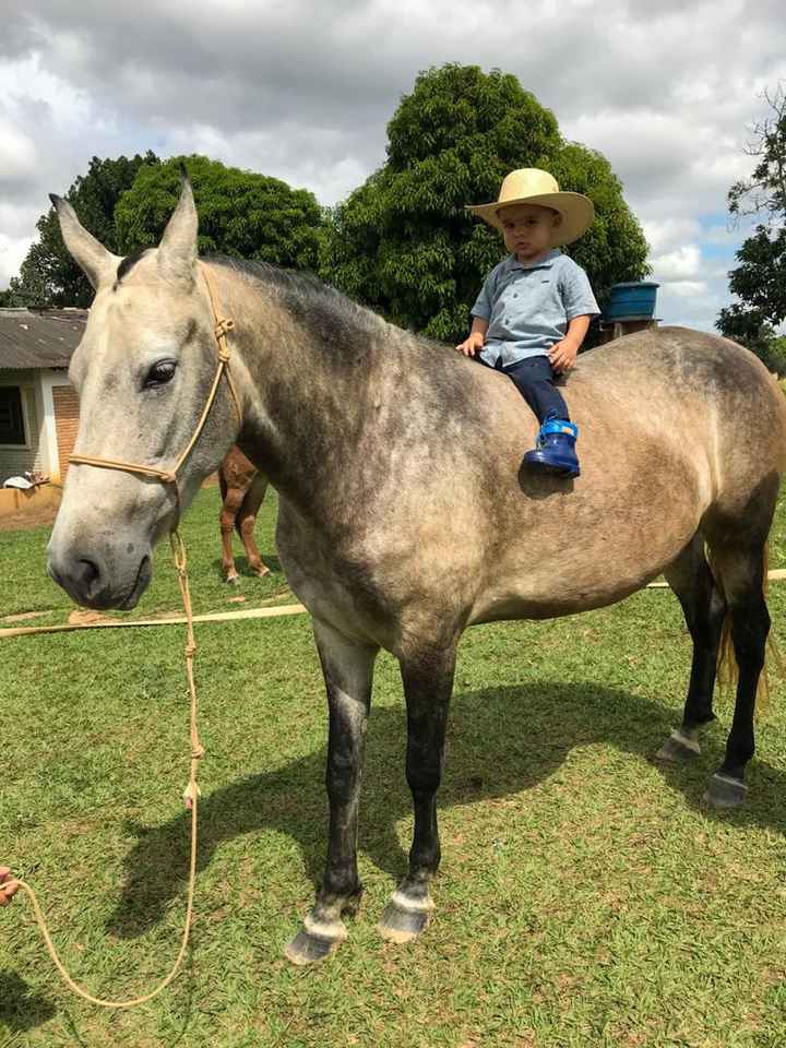 Filhos - 3