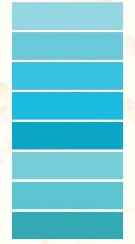 Paleta Azul Tiffany