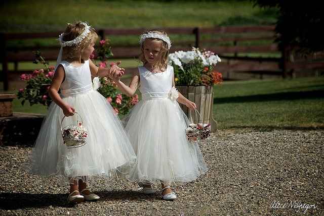 Damas