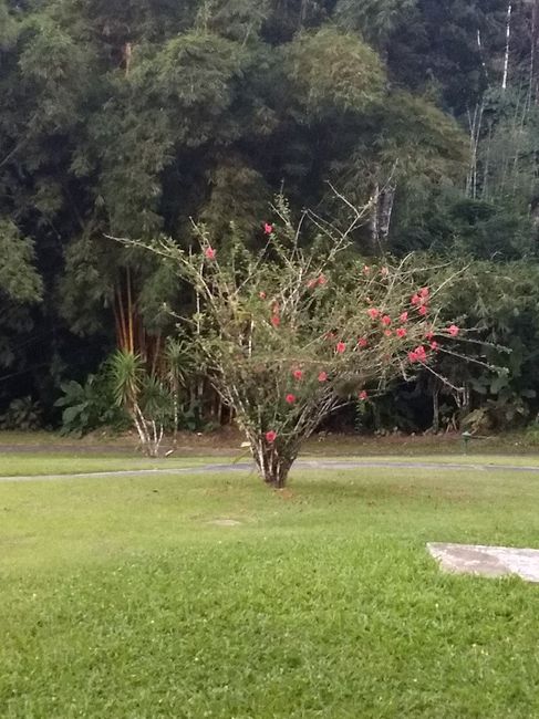 Dica de lugar para viajar - Vila Galé Eco Resort Angra - 6