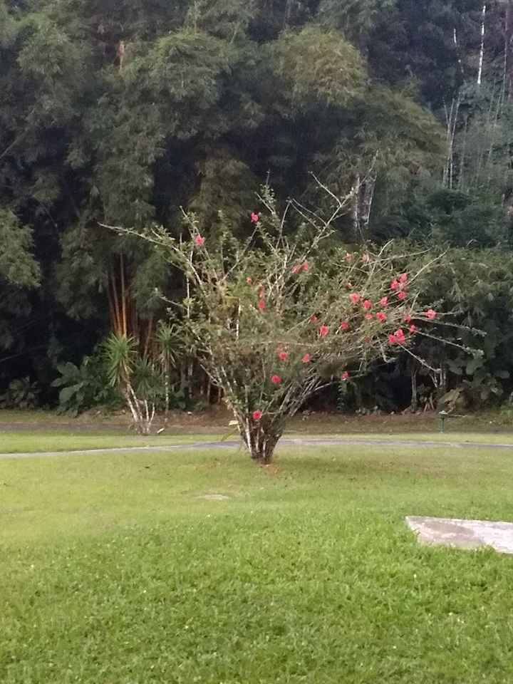 Dica de lugar para viajar - Vila Galé Eco Resort Angra - 6