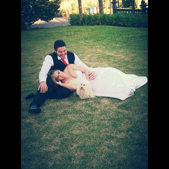 Meu trash the dress #feliz - 1